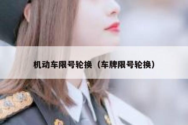 机动车限号轮换（车牌限号轮换） 第1张