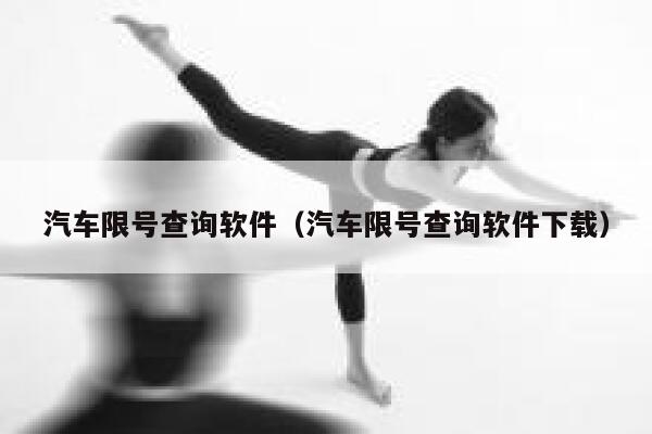 汽车限号查询软件（汽车限号查询软件下载） 第1张