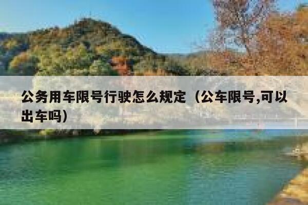 公务用车限号行驶怎么规定（公车限号,可以出车吗） 第1张