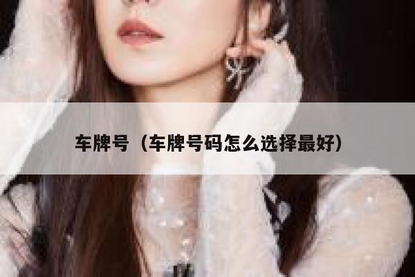 车牌号（车牌号码怎么选择最好） 第1张