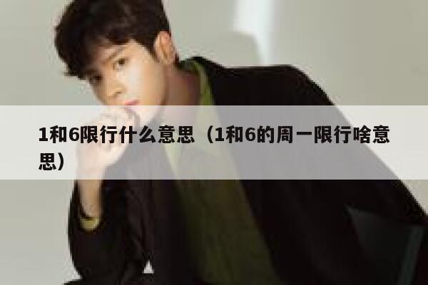 1和6限行什么意思（1和6的周一限行啥意思） 第1张