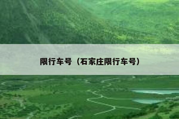 限行车号（石家庄限行车号） 第1张