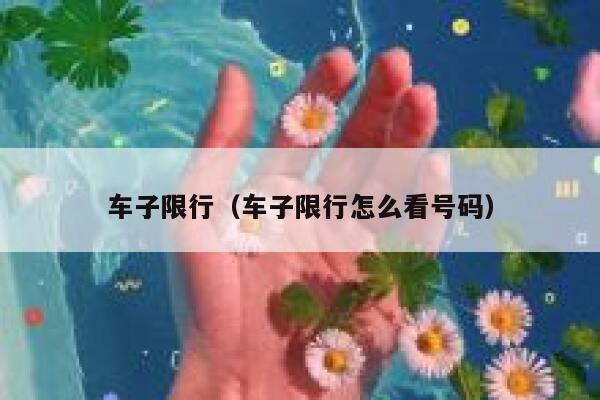 车子限行（车子限行怎么看号码） 第1张