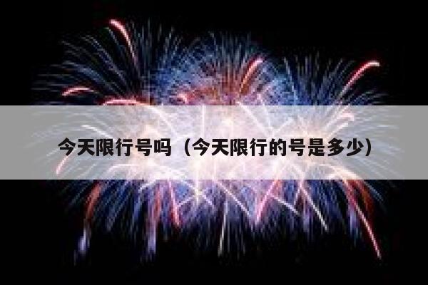 今天限行号吗（今天限行的号是多少） 第1张