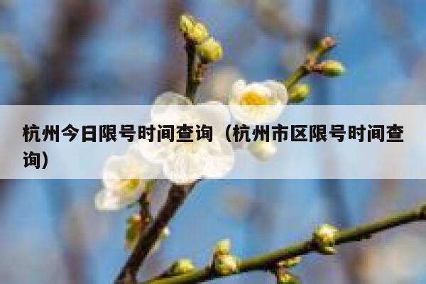 杭州今日限号时间查询（杭州市区限号时间查询） 第1张