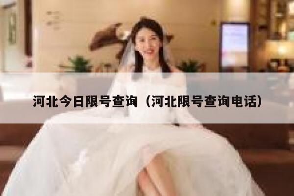 河北今日限号查询（河北限号查询电话） 第1张