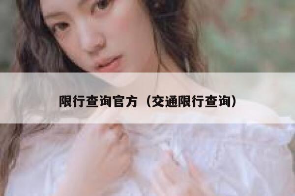 限行查询官方（交通限行查询） 第1张