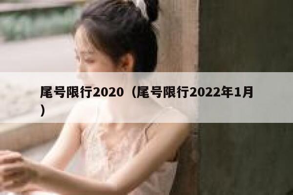 尾号限行2020（尾号限行2022年1月） 第1张