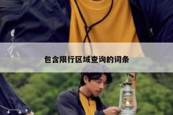 包含限行区域查询的词条 第1张