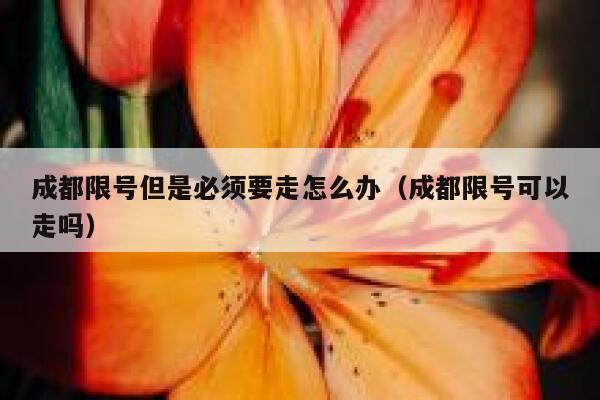 成都限号但是必须要走怎么办（成都限号可以走吗） 第1张
