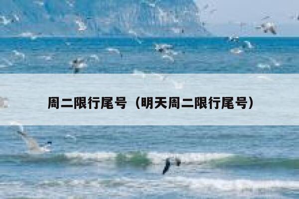 周二限行尾号（明天周二限行尾号） 第1张