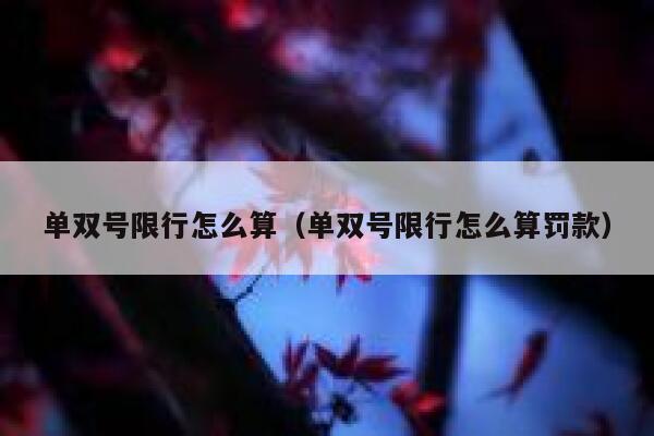 单双号限行怎么算（单双号限行怎么算罚款） 第1张