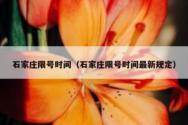 石家庄限号时间（石家庄限号时间最新规定） 第1张