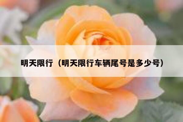 明天限行（明天限行车辆尾号是多少号） 第1张