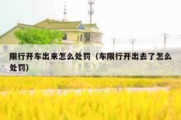 限行开车出来怎么处罚（车限行开出去了怎么处罚） 第1张