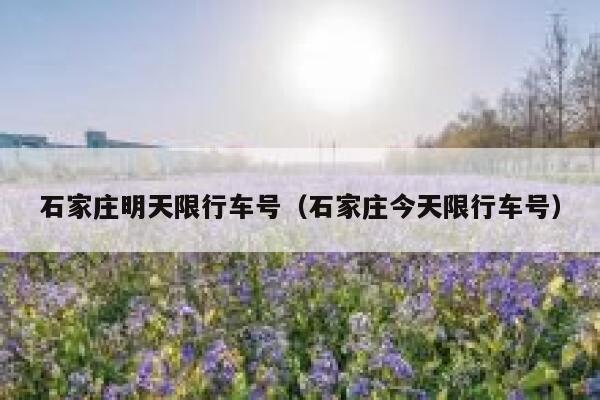 石家庄明天限行车号（石家庄今天限行车号） 第1张
