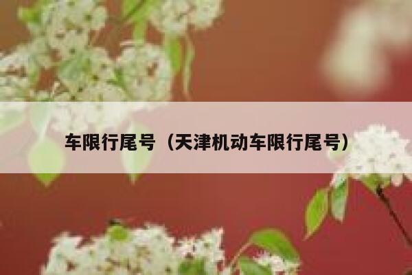 车限行尾号（天津机动车限行尾号） 第1张