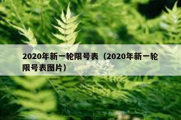 2020年新一轮限号表（2020年新一轮限号表图片） 第1张