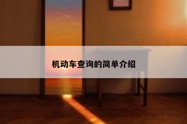机动车查询的简单介绍 第1张
