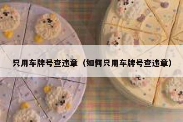 只用车牌号查违章（如何只用车牌号查违章） 第1张