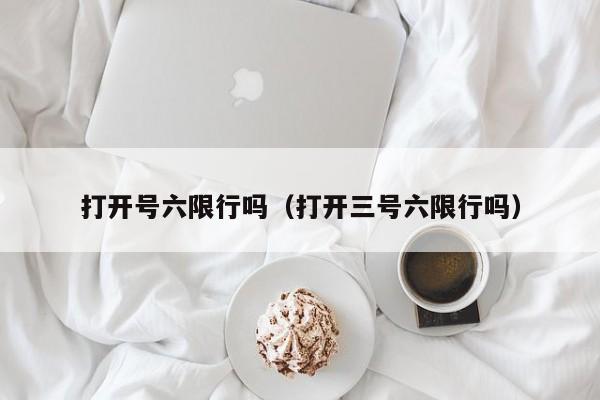 打开号六限行吗（打开三号六限行吗） 第1张