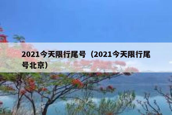 2021今天限行尾号（2021今天限行尾号北京） 第1张