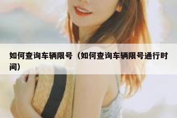 如何查询车辆限号（如何查询车辆限号通行时间） 第1张