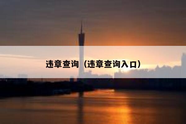 违章查询（违章查询入口） 第1张