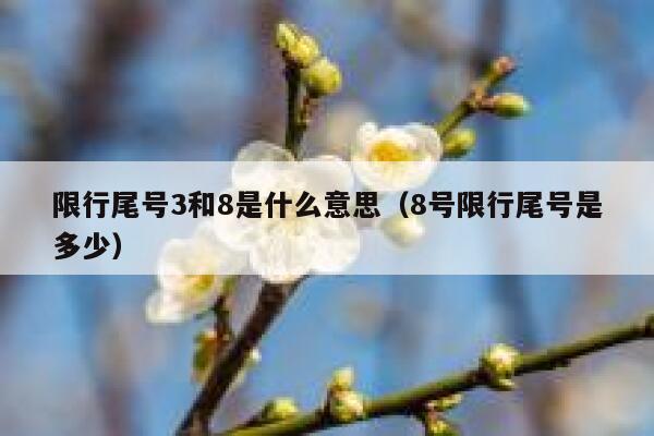 限行尾号3和8是什么意思（8号限行尾号是多少） 第1张