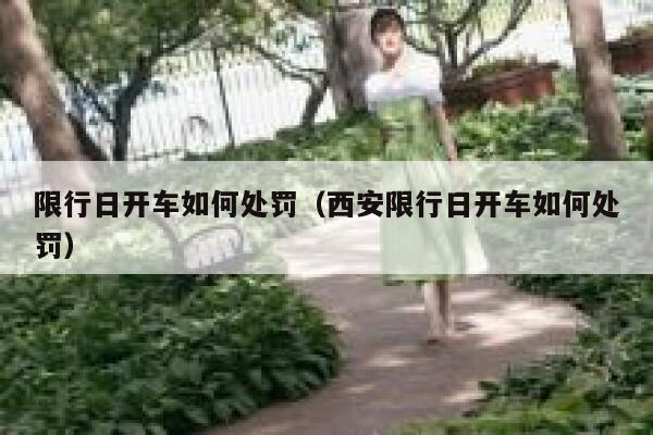 限行日开车如何处罚（西安限行日开车如何处罚） 第1张