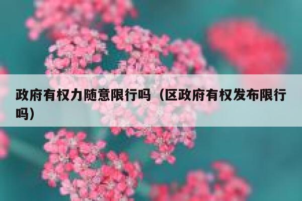 政府有权力随意限行吗（区政府有权发布限行吗） 第1张