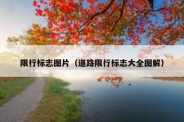 限行标志图片（道路限行标志大全图解） 第1张