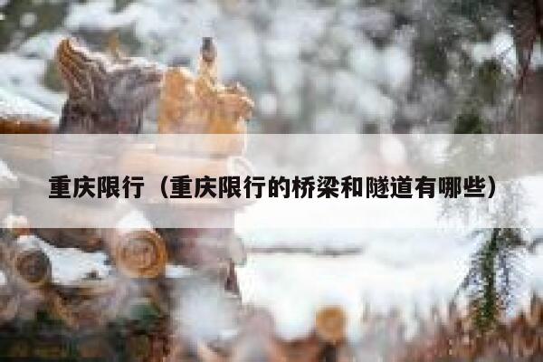重庆限行（重庆限行的桥梁和隧道有哪些） 第1张
