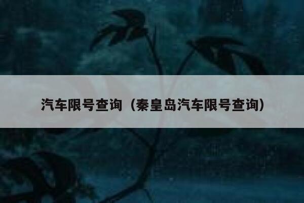 汽车限号查询（秦皇岛汽车限号查询） 第1张