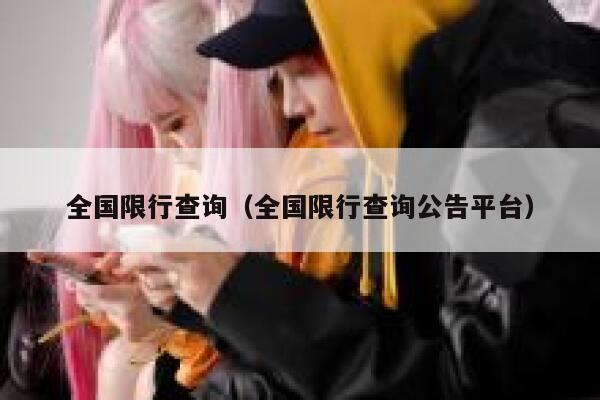 全国限行查询（全国限行查询公告平台） 第1张