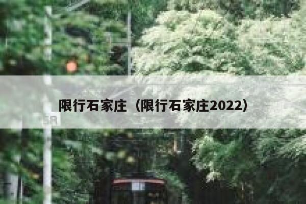 限行石家庄（限行石家庄2022） 第1张