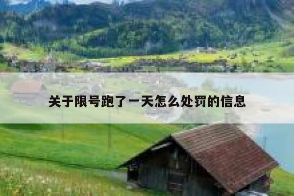 关于限号跑了一天怎么处罚的信息 第1张