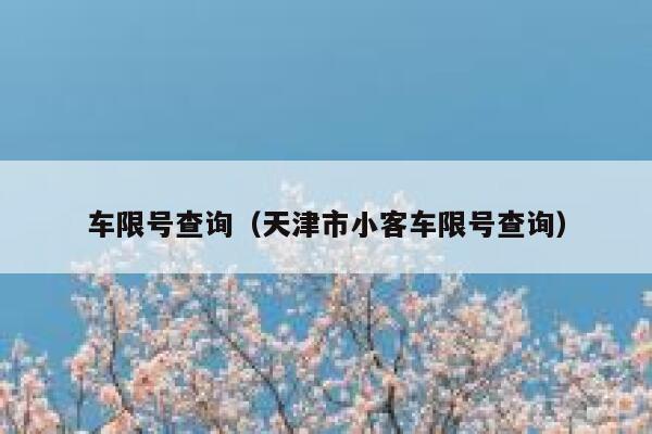 车限号查询（天津市小客车限号查询） 第1张