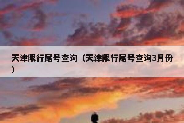 天津限行尾号查询（天津限行尾号查询3月份） 第1张