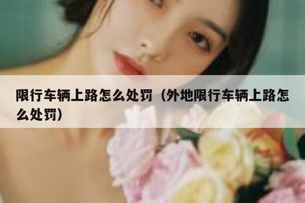 限行车辆上路怎么处罚（外地限行车辆上路怎么处罚） 第1张