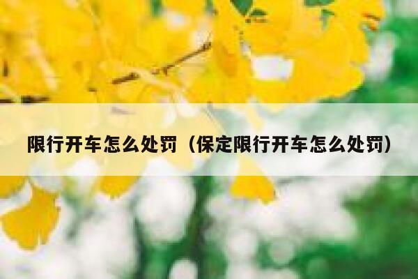 限行开车怎么处罚（保定限行开车怎么处罚） 第1张