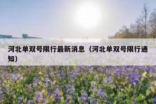 河北单双号限行最新消息（河北单双号限行通知） 第1张