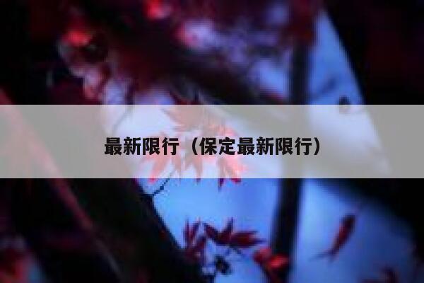 最新限行（保定最新限行） 第1张