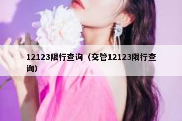 12123限行查询（交管12123限行查询） 第1张