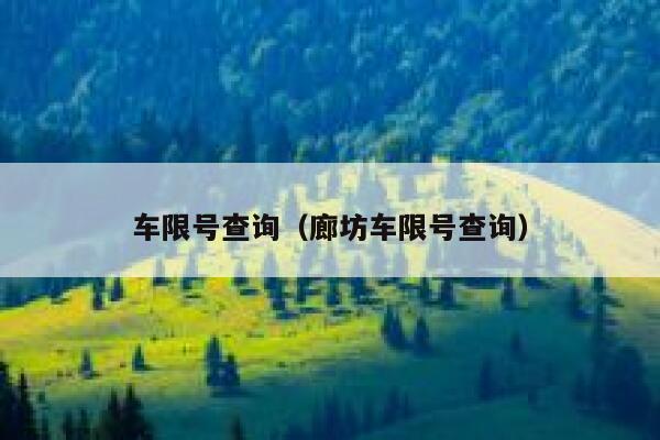 车限号查询（廊坊车限号查询） 第1张