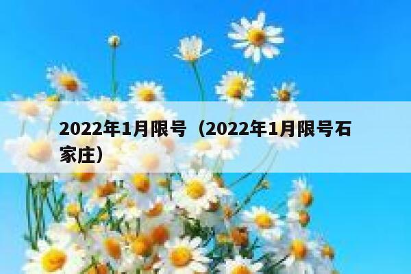 2022年1月限号（2022年1月限号石家庄） 第1张