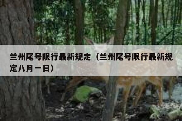 兰州尾号限行最新规定（兰州尾号限行最新规定八月一日） 第1张