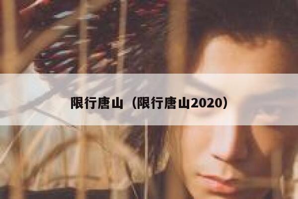 限行唐山（限行唐山2020） 第1张
