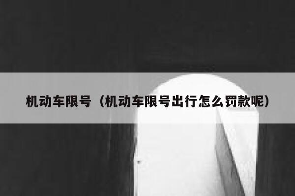 机动车限号（机动车限号出行怎么罚款呢） 第1张