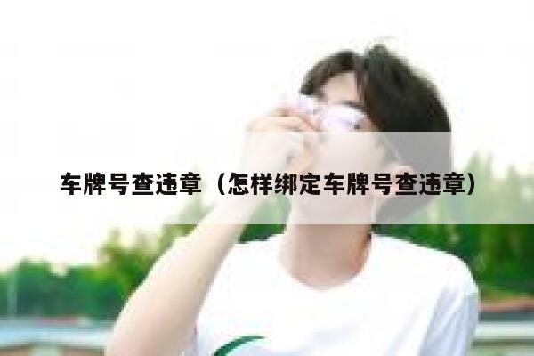 车牌号查违章（怎样绑定车牌号查违章） 第1张